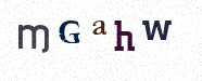 Visual Confirmation Security Code